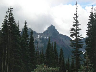 Mt Rainier 80