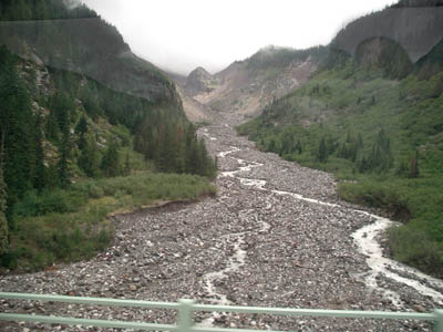 Mt Rainier 82