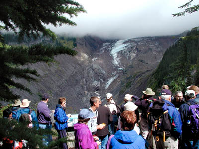 Mt Rainier113