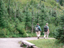 Mt Rainier 22