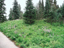 Mt Rainier 28
