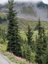 Mt Rainier107