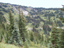 Mt Rainier108